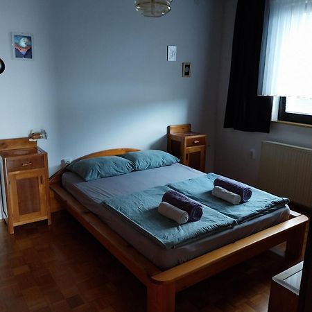 Apartment Katrin Zirovnica Eksteriør billede